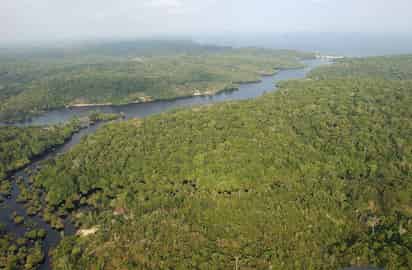 Está amenazado por actividades extractivas, proyectos de infraestructura, la construcción de hidroeléctricas y deforestación. (ARCHIVO)