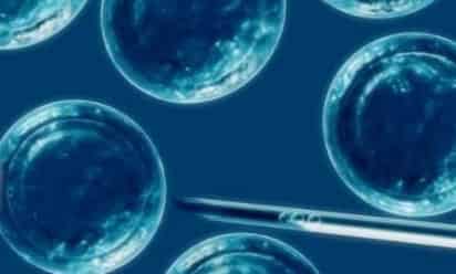 Esperan que el conocimiento sirva en el futuro para detectar precozmente el riesgo de cáncer. (ARCHIVO)