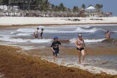 De acuerdo con un artículo de la doctora Brigitta Ine Van Tussenbroek en Somos Playa del Carmen, el sargazo ha aumentado debido al incremento de la temperatura del mar por el calentamiento global y al exceso de nutrientes provenientes de los ríos, los cuales llegan al mar. (ARCHIVO)