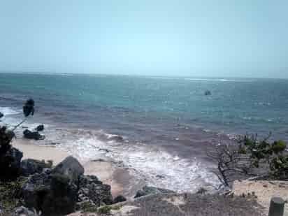Los efectos de los primeros recales de sargazo se empiezan a observar en las inmediaciones de Mahahual y Xcalak, al sur del estado de Quintana Roo, donde la víspera comenzaron a arribar cantidades importantes de la macroalga. (ARCHIVO)