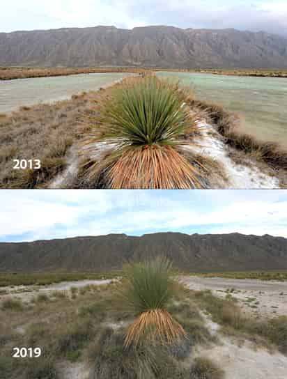 Alerta. Desecación de la poza de Los Güeros que forma parte del sistema de la laguna de Churince. (DAVID JARAMILLO)