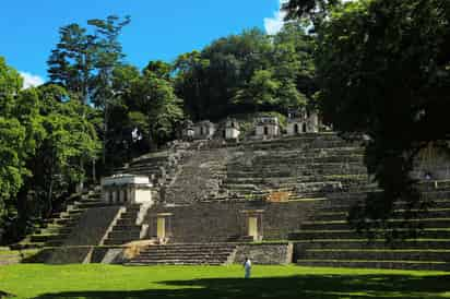 Descubre... La Selva Lacandona