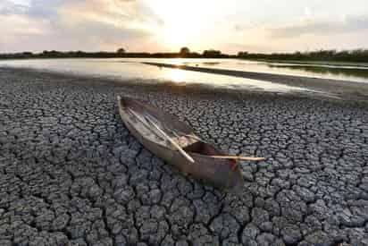 Con el apoyo del gobierno federal, a través del Seguro de Daños Climáticos en los Agostaderos, la Confederación Nacional de Organizaciones Ganaderas (CNOG) indemnizará a productores afectados por las sequías en cuatro estados del país. (ARCHIVO)