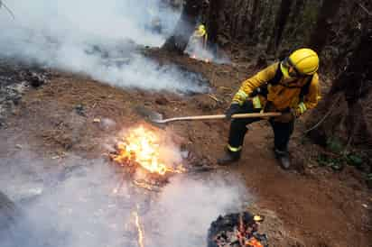 Perú ha registrado 128 incendios forestales desde el 27 de julio hasta la fecha, la mayoría provocados por el hombre, en varias regiones del país, pero ninguno sigue activo. (ARCHIVO)