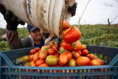 Productores aplauden logro en eliminación de aranceles, pero dicen que términos no son ideales. (EL SIGLO DE TORREÓN)