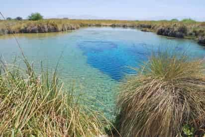 la alcaldesa explicó que es necesario salvar los cuerpos de agua que están en el valle, porque así podrán preservarse las especies de animales y plantas que sólo existen.