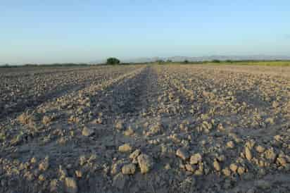 El Gobierno del estado de Durango ya llevó a cabo la Declaratoria de Emergencia por Sequía. (EL SIGLO DE TORREÓN)