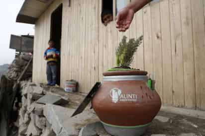 Un macetero de arcilla, una pequeña planta, decenas de microorganismos y nanotecnología son hoy la esperanza para que tres millones de peruanos que no cuentan con energía eléctrica, abandonen las velas y lámparas de kerosene. (ARCHIVO)