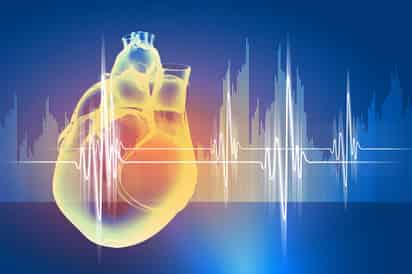 Un nuevo biomaterial que imita el tejido del corazón humano ayudará a desactivar las células que, con el paso de los años, endurecen las válvulas del órgano vital e impiden la circulación de la sangre. (ARCHIVO)