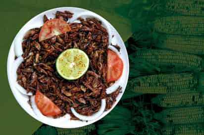 Los chapulines eran consumidos en la época prehispánica por nuestros antepasados y, aunque hoy en día no es tan común comerlos, siguen presentes en la cocina mexicana. (ARCHIVO)