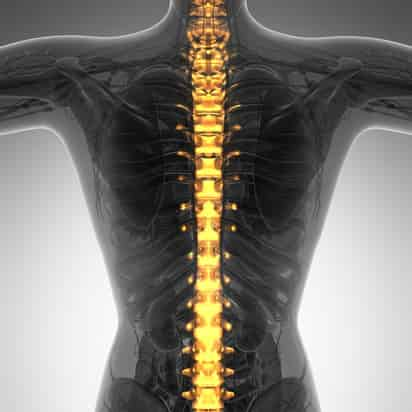 Especialistas en medicina interna llamaron a la población a mantener buenos hábitos para prevenir la osteoporosis, la cual disminuye la resistencia ósea, generando un mayor riesgo de fracturas. (ARCHIVO)