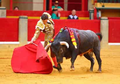 El novillero lagunero Arturo Gilio Quintero, dejó hoy gratísimas sensaciones en su presentación en la plaza de toros “La Misericordia”, de Zaragoza, España, donde formó parte de una novillada matutina, siendo el segundo festejo de la renombrada Feria del Pilar. (EL SIGLO DE TORREÓN)