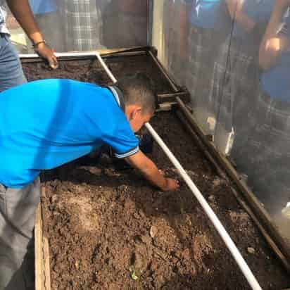 Los invernaderos fueron instalados en distintos planteles educativos con el apoyo de la Dirección de Desarrollo Social en Torreón. (CORTESÍA)