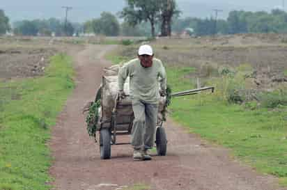 Aplicación de pensiones no contributivas disminuye la fragilidad de los adultos mayores. (ARCHIVO)