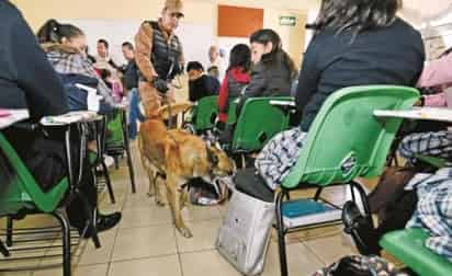 Juan Martín Pérez, director de la Red por los Derechos de la Infancia en México (Redim), comentó que este tipo de estrategias no funcionan pues se trata a los menores de edad como criminales en lugar de promover una cultura de paz. (EL UNIVERSAL)