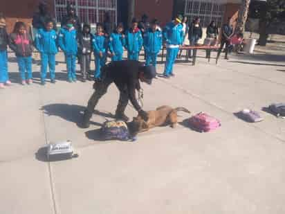 Continúan con el Operativo Mochila en San Pedro y en Francisco I. Madero. (EL SIGLO DE TORREÓN)
