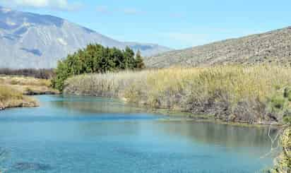 El valle de Cuatrociénegas es una reserva natural protegida debido a la flora y fauna endémica que habita el lugar.  (ARCHIVO)