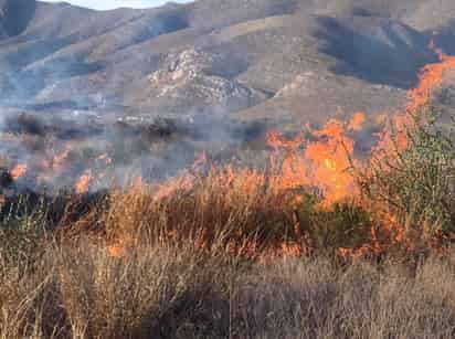 En lo que va del presente año van cuatro incendios forestales; en el 2019, al cierre de febrero, el registro era de 40. (EL SIGLO DE TORREÓN) 