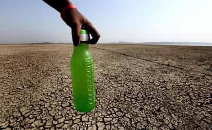 El calentamiento global está por hacer grandes agujeros en la red vital de la Tierra, empujando las temperaturas más allá de la tolerancia de miles de animales. (ARCHIVO) 