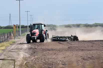 Campesinos de Vicente Guerrero no tienen dinero para pagar los créditos contratados. (EL SIGLO DE TORREÓN) 