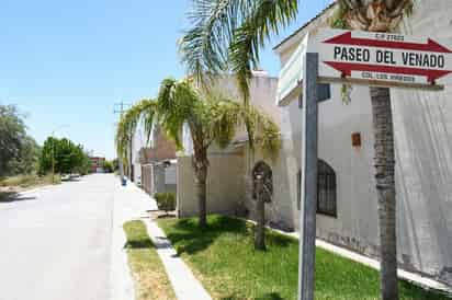 Los presidentes del sector Viñedos, el cual agrupa a los fraccionamientos Los Viñedos, Palma Real, Villas de las Palmas y Quintas Campestre Los Laureles, manifestaron su inconformidad por el servicio. (FERNANDO COMPEÁN)