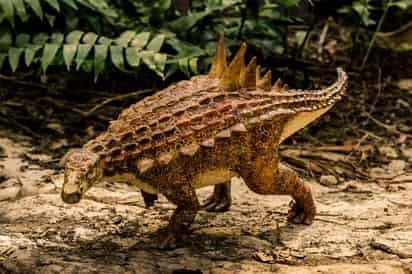 El Museo del Desierto de Saltillo cuenta con 300 especies.