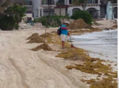Los puntos más afectados son Playa Gaviota Azul, Playa Lagarto y Playa Chac Mool.
