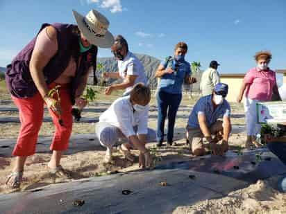 Organizaciones No Gubernamentales y fundaciones de empresas iniciaron con el gobierno municipal de Cuatro Ciénegas un programa piloto de huertos familiares. (EL SIGLO COAHUILA)