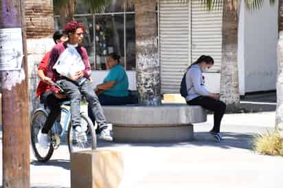 El programa federal busca incluir en actividades productivas a jóvenes de 18 a 29 años que no estudian ni trabajan.