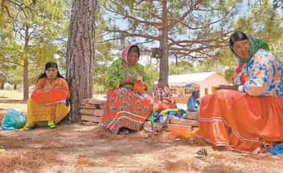 Generación tras generación, familias de la sierra del estado han dedicado su vida a la elaboración de artesanías que venden al turismo y, aunque están acostumbradas a las épocas difíciles, nunca habían enfrentado una realidad como la provocada por el COVID-19. (ARCHIVO)