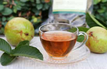 Las guayabas son deliciosas, aromáticas y ricas en vitamina C, pero ¿sabías que sus hojas tienen múltiples propiedades? Aunque sea difícil de creer resulta que estas hierbas son la materia prima de muchos remedios caseros. (INTERNET) 