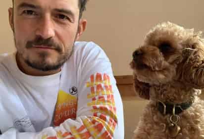 Luego de que Orlando Bloom utilizara sus redes sociales hace una semana para informar que su perrito de nombre 'Mighty” se había extraviado, el actor se despidió este miércoles de su can. (INSTAGRAM)