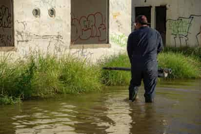 En breve comenzarán los trabajos para combatir el mosquito transmisor del dengue, con fumigaciones y otras acciones. (EL SIGLO DE TORREÓN) 