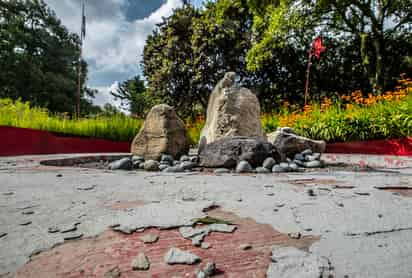 Según el nuevo Plan Maestro, se abrirá un nuevo jardín botánico en la Segunda Sección. (AGENCIAS)