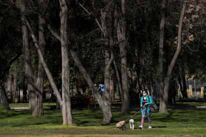 Chile registró en las últimas 24 horas 1,988 nuevos casos de COVID-19 y 62 muertes, lo que eleva el balance total desde principios de marzo a 375,044 infectados y 10,139 fallecidos confirmados. (ARCHIVO)