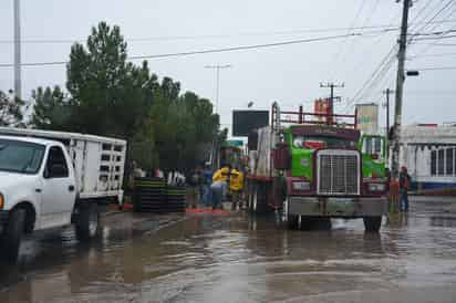 Los resultados serán públicos y podrán ser consultados por la ciudadanía en general. (EL SIGLO DE TORREÓN) 