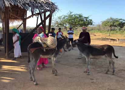 En un informe conjunto, las dos entidades alertan de las dificultades de supervivencia de los miembros de este pueblo. (ARCHIVO)