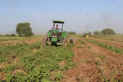 Los apoyos fueron para ganaderos y agrícolas.