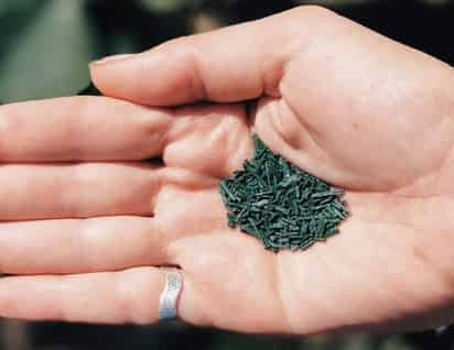 La espirulina es un alga azul verdosa famosa por poseer una importante cantidad de proteínas, vitaminas y minerales. Además de su efecto saciante. (ESPECIAL)