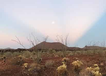 La Reserva de la Biósfera El Pinacate y El Gran Desierto de Altar se encuentra entre los municipios de Puerto Peñasco, Plutarco Elías Calles y San Luis Río Colorado en el estado de Sonora. (ESPECIAL)