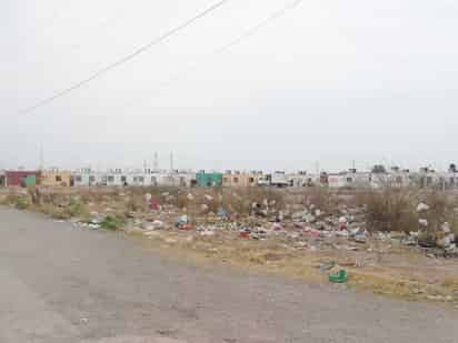 A partir de hoy la Dirección de Ecología empezará a notificar a los dueños de predios que son utilizados como tiradero de escombro y basura para que los limpien. (EL SIGLO DE TORREÓN) 