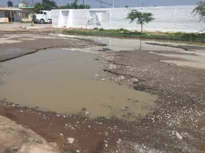 Vecinos cercanos a esta gran laguna de aguas verdosas aseguran que el problema tiene semanas sin atenderse.