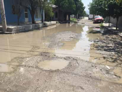 Vecinos de Ampliación Las Palmas temen ante la posibilidad de que se presente dengue en el sector.