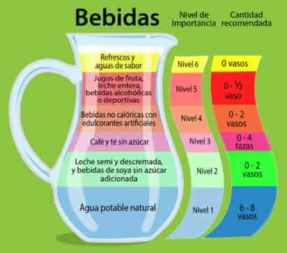 La jarra del buen beber sintetiza las cantidades de agua y otras bebidas que son necesarias para mantener el cuerpo en buen estado. (TOMADA DEL FACEBOOK DEL ISSSTE)