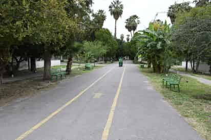 El proyecto se está generando desde hace meses entre el Municipio y el patronato del Bosque. (FERNANDO COMPEÁN)