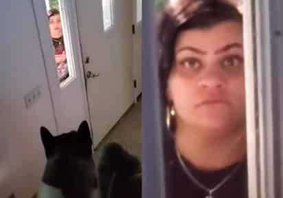 En el video la mujer asegura que el perro 'pagará las consecuencias' por cambiar contraseña de WiFi (CAPTURA) 