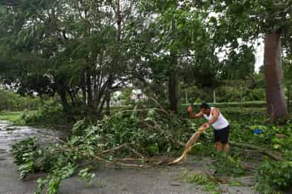 Por la mañana los habitantes de Puerto Morelos salieron a limpiar sus calles y despejar las carreteras, mientras se aseguraban de que todas las familias estuvieran intactas y sin pérdidas humanas que lamentar.
(EL UNIVERSAL)