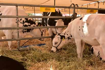 Añadió que el enfoque actual no promueve la productividad del campo, sino solamente se enfoca en transferir a los pequeños productores. (ARCHIVO) 