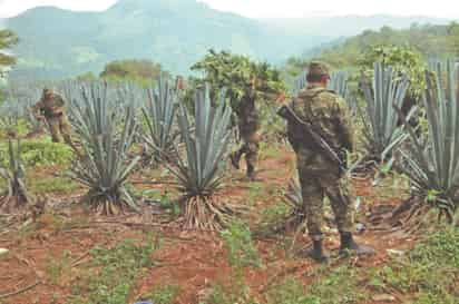 Los mismos documentos de la Sedena revelan que las agresiones contra el Ejército en Nayarit disminuyeron 73% en el sexenio de Peña Nieto respecto al de Felipe Calderón.
