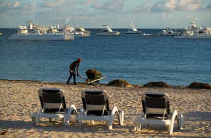 Para los trabajos de recolección de esta alga marina, la Semar informó que desplegó 24 embarcaciones: seis sargaceras, una de investigación y 17 menores, así como cuatro barredoras y tractores.
(EFE)